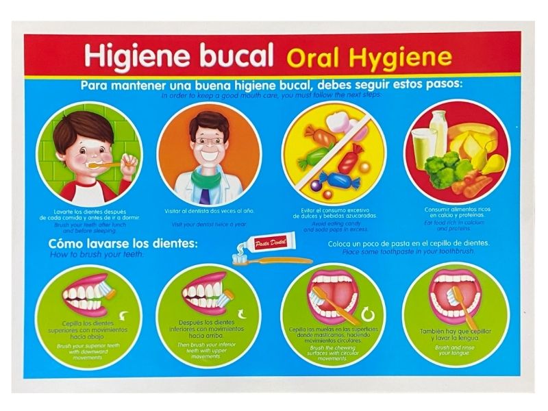 Póster Didáctico Mini Higiene Bucal 25×35cm granmark® 1361-47 Pieza 751214511171 02