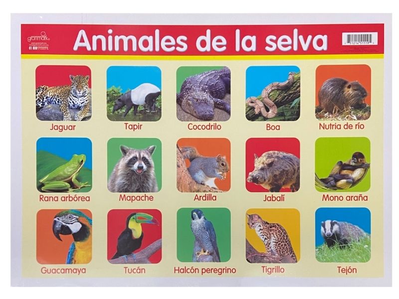 Póster Didáctico Mini Animales de la Selva 25×35cm granmark® 1361-49 Pieza 751214511195 01