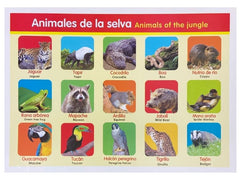 Póster Didáctico Mini Animales de la Selva 25×35cm granmark® 1361-49 Pieza 751214511195 02