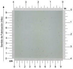 Papel Seguridad Hoops 90g Azul 57×87cm Copamex® Hoja 01