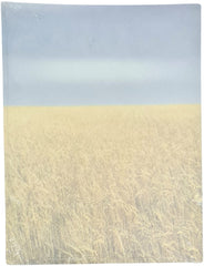 Hoja Decorada Campo Trigo c/25 Carta Kalex® HTO-04-01-06B Paquete 01