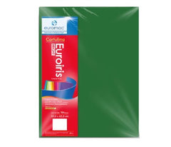 Cartulina Euroiris Euroiris Brillante Verde Bandera 50×65cm euromac® EI0028 Hoja 7501523724105 02