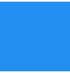 Cartulina Brights 176g Blue 57×87cm Supra® Hoja 01