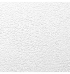 Cartulina Kant Gofrada Blanco/White 220g Baikal 65×85cm Supra® KG160 Hoja 02