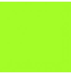 Cartulina Brights 176g Electric Green 57×87cm Supra® Hoja 01