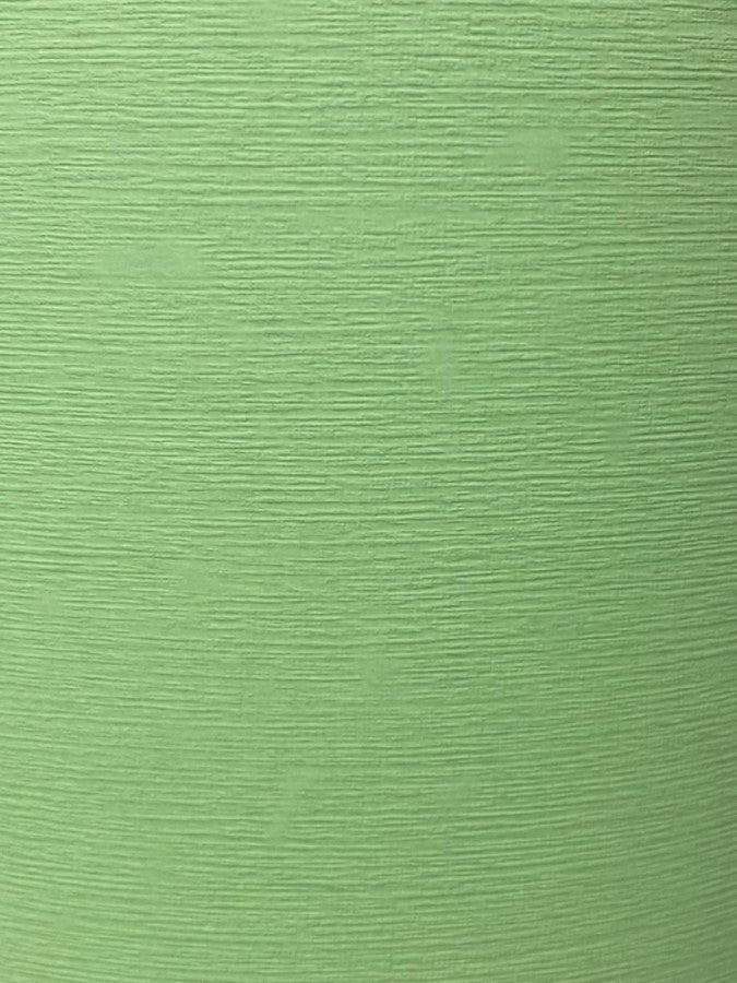 Cartulina Publicitas Lino 160g Verde 70×96.5cm Marmo® Hoja 02