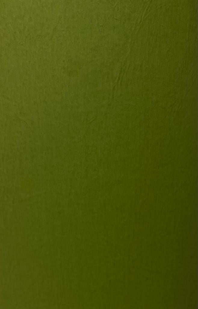 Cartulina Marmofold 2/caras 235g Verde Olivo 57×72cm Marmo® Hoja 02