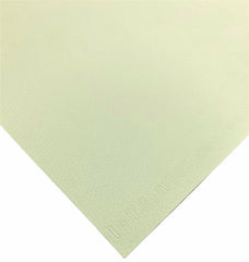 Cartulina Mi-Teintes® 100 160g Verde Tila 55×75cm Canson® Hoja 01