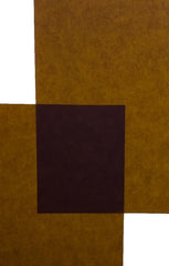 Papel Curious Translucent 100g Chocolate 70×100cm Arjowiggins® 3XP1CH Hoja 01