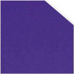 Cartulina Favini Prisma sin Ácido, color en Masa 220g Violeta 19 50×70cm INDART® EFA00PP019 Hoja 750