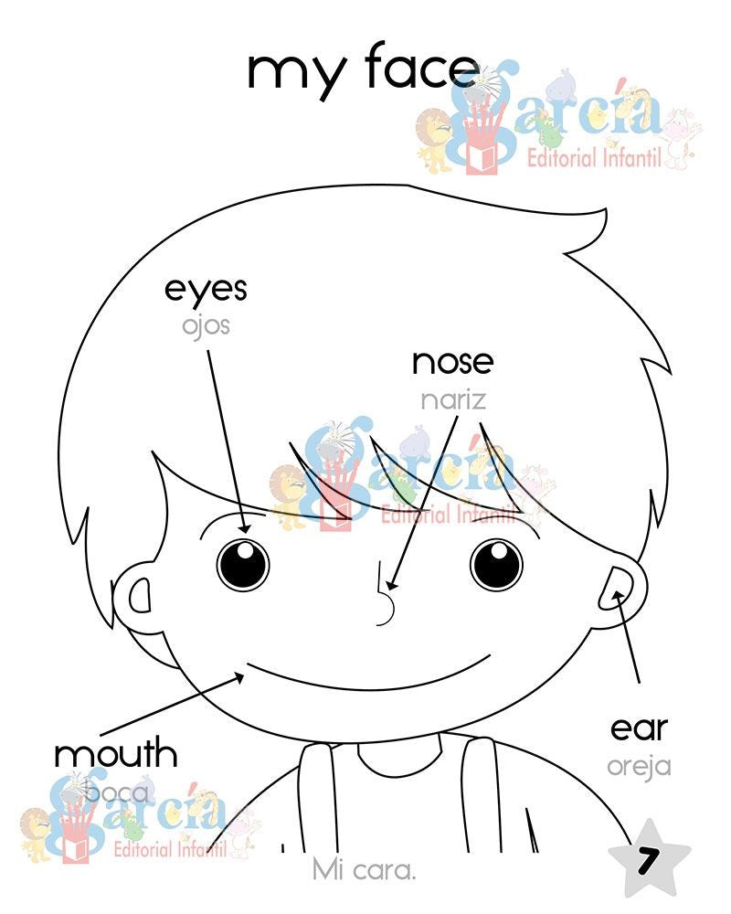 Libro Infantil Coloreal Primeras Palabras Ingles 112 paginas G.E.García 1240 [Pieza] 9786076130711 4