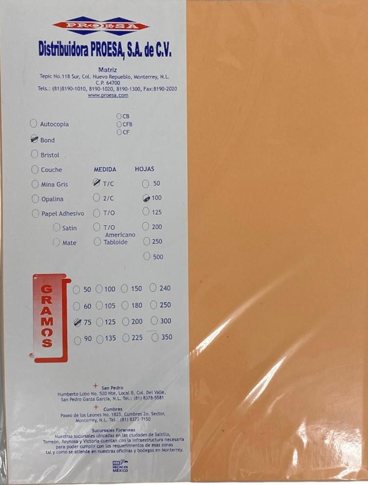Papel Bond Color Iris c/100 Colores (5) Carta 75g Proesa® [Cien hojas] 2 Imagen principal del producto