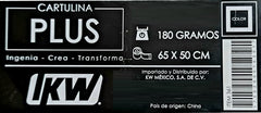Cartulina Plus 180g Negro 65×50cm IKW® 0361 [Hoja] 2