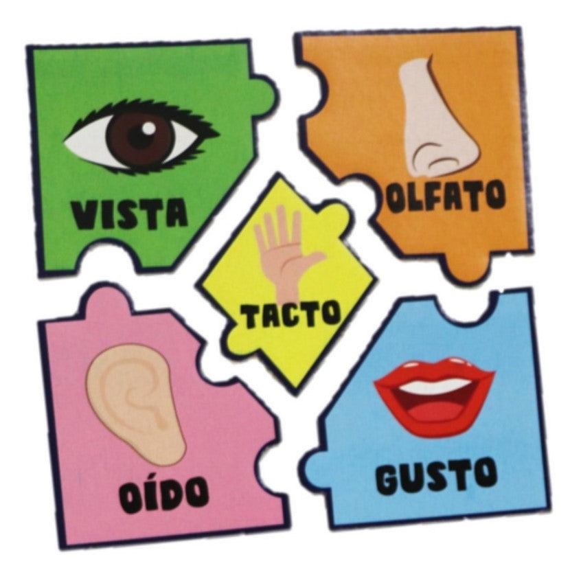 Rompecabezas Vocales y Sentidos 10 Piezas DaccArT® [Pieza] 7506457800093 2