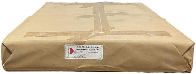 Cartulina Marquilla Dibujo #65 200g 50×65 Pacsa® [Hoja] 2