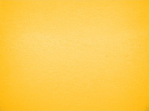 Bristol 58kg Canario 50×65 180g Pacsa® [Hoja]