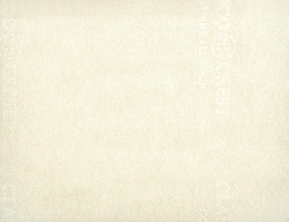 Bond Clásico Premier 45kg Marfil 57×87 90g Scribe® [Hoja] 2