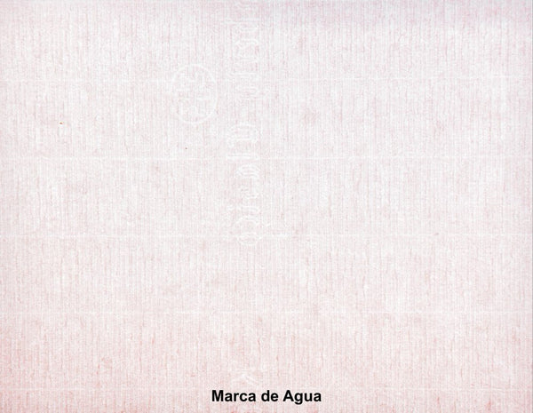 Bond Clásico Premier 45kg Rosa pastel 57×87 90g Scribe® [Hoja] 2