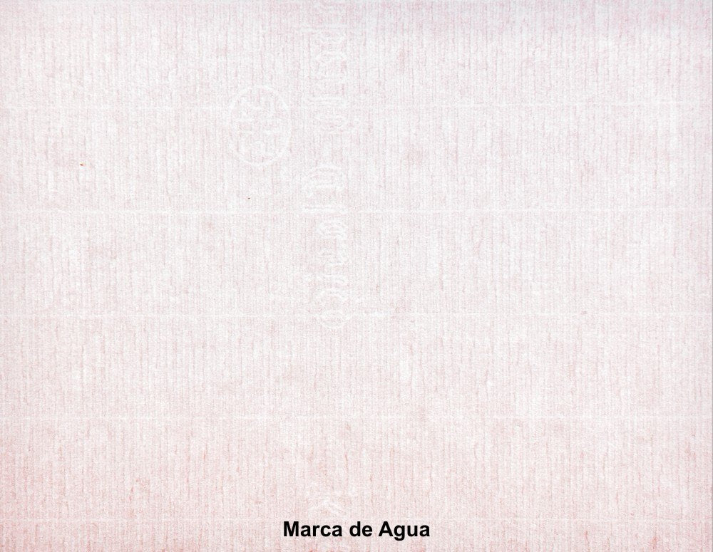 Bond Clásico Premier 45kg Rosa pastel 57×87 90g Scribe® [Hoja] 2