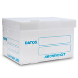 Caja Archivo de Plástico 38.5×31×25cm Tapa Integrada Carta CARTONPLAST® Pieza 02