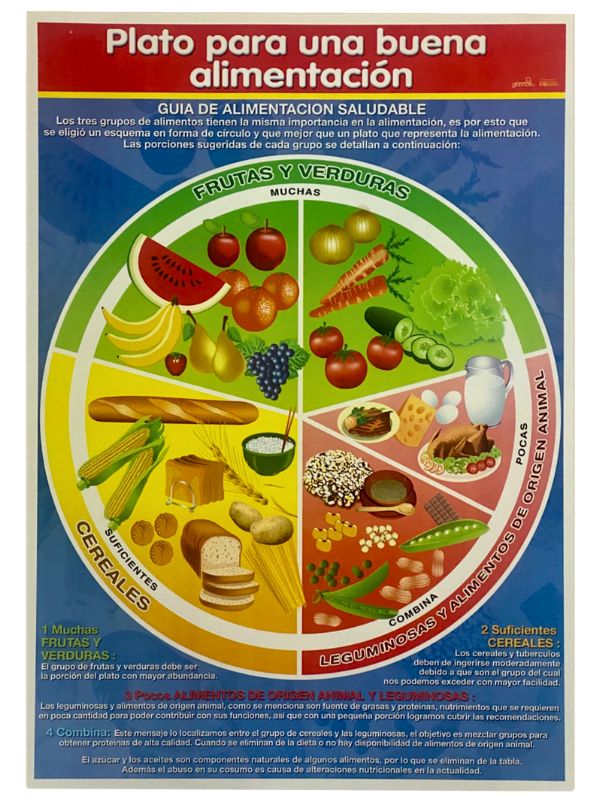 Póster Didáctico Mini Plato buena Alimentación 25×35cm granmark® 1361-37 Pieza 751214504791 01