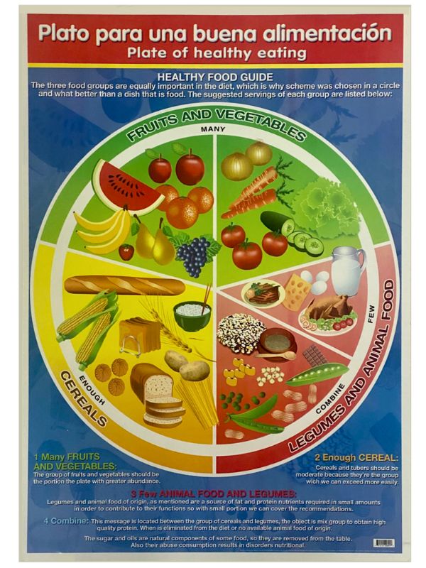 Póster Didáctico Mini Plato buena Alimentación 25×35cm granmark® 1361-37 Pieza 751214504791 02