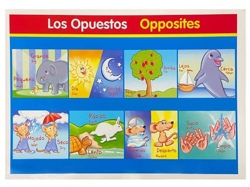 Póster Didáctico Mini Los Opuestos 25×35cm granmark® 1361-24 Pieza 751214287403 02