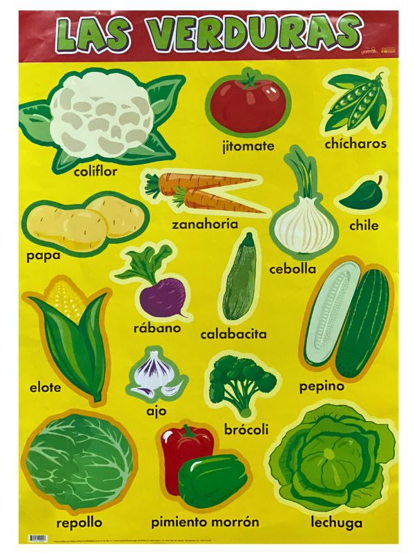 Póster Didáctico Mini Verduras 25×35cm granmark® 1361-40 Pieza 751214504821 01