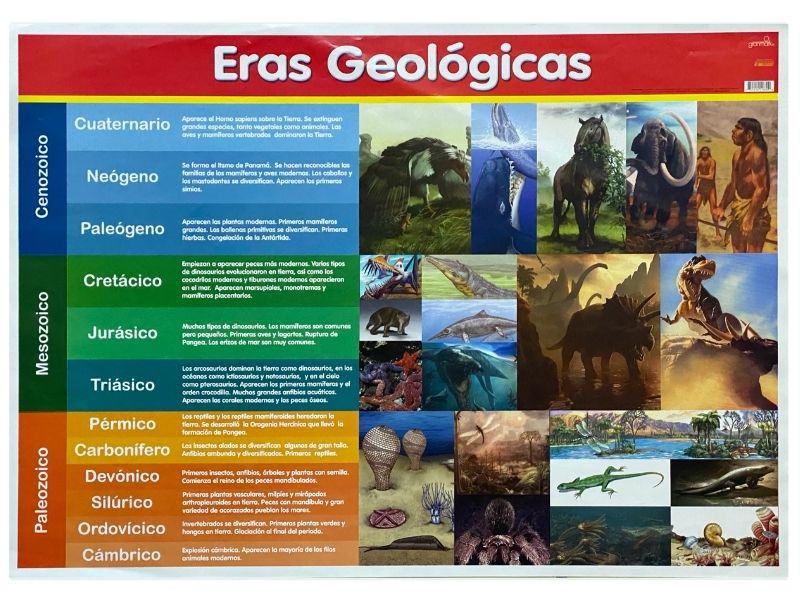 Póster Didáctico Eras Geológicas 70×50cm granmark® 1345-91 Pieza 751214518309 01