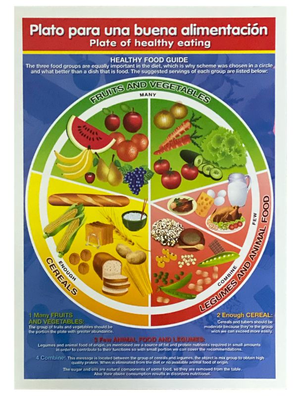 Póster Didáctico Plato buena Alimentación 50×70cm granmark® 1349-1 Pieza 751214506917 01