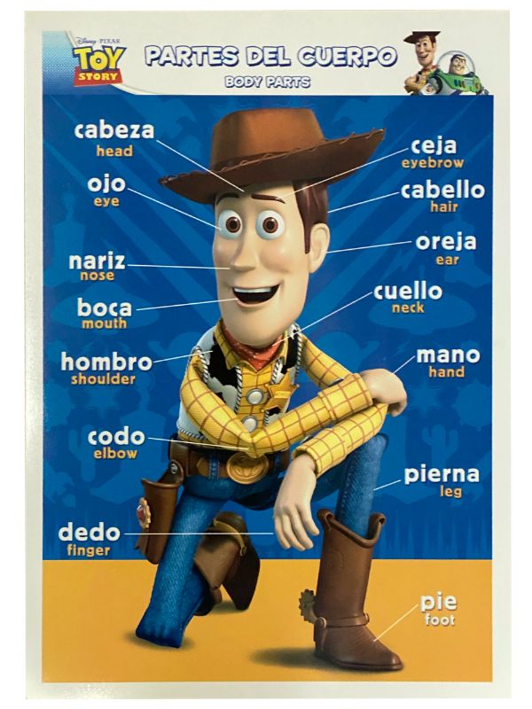Póster Didáctico Mini Partes del CuerpoToyStory 35×25cm granmark® 1361-117 Pieza 751214540102 02