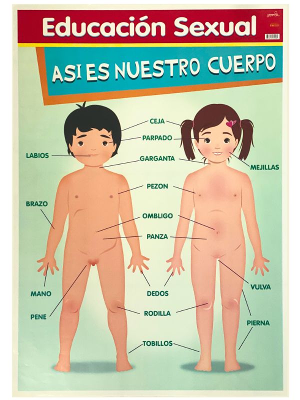 Póster Didáctico Educación Sexual 50×70cm granmark® 1345-94 Pieza 751214535962 01