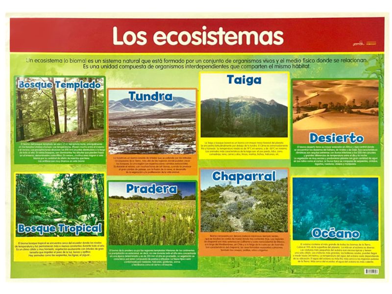 Póster Didáctico Los Ecosistemas 70×50cm granmark® 1345-66 Pieza 751214511393 01