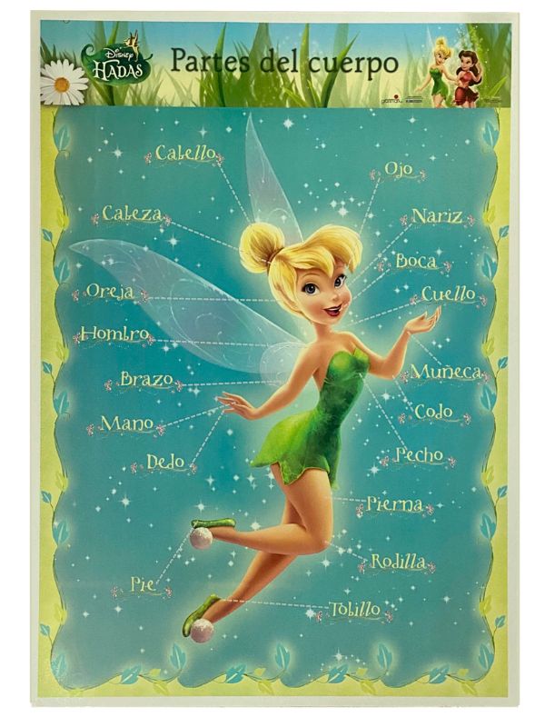 Póster Didáctico Partes del Cuerpo Campani 50×70cm granmark® 1313-16 Pieza 751214526373 01