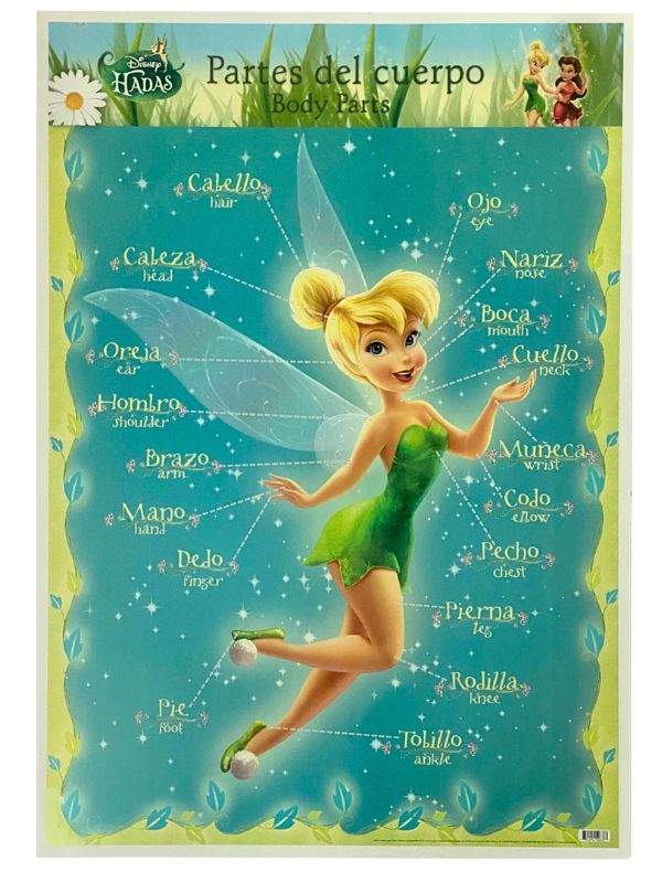 Póster Didáctico Partes del Cuerpo Campani 50×70cm granmark® 1313-16 Pieza 751214526373 02