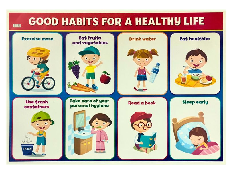 Póster Didáctico Para una Vida Saludable 70×50cm granmark® 1387-1 Pieza 751214732996 02