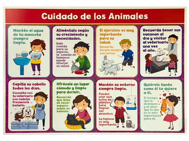 Póster Didáctico Cuidado de los Animales 70×50cm granmark® 1388-1 Pieza 751214733009 01