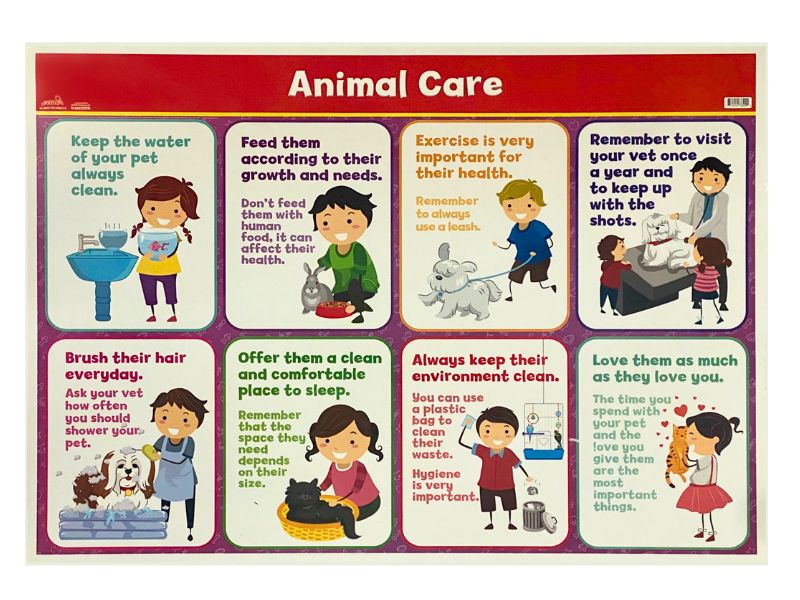 Póster Didáctico Cuidado de los Animales 70×50cm granmark® 1388-1 Pieza 751214733009 02