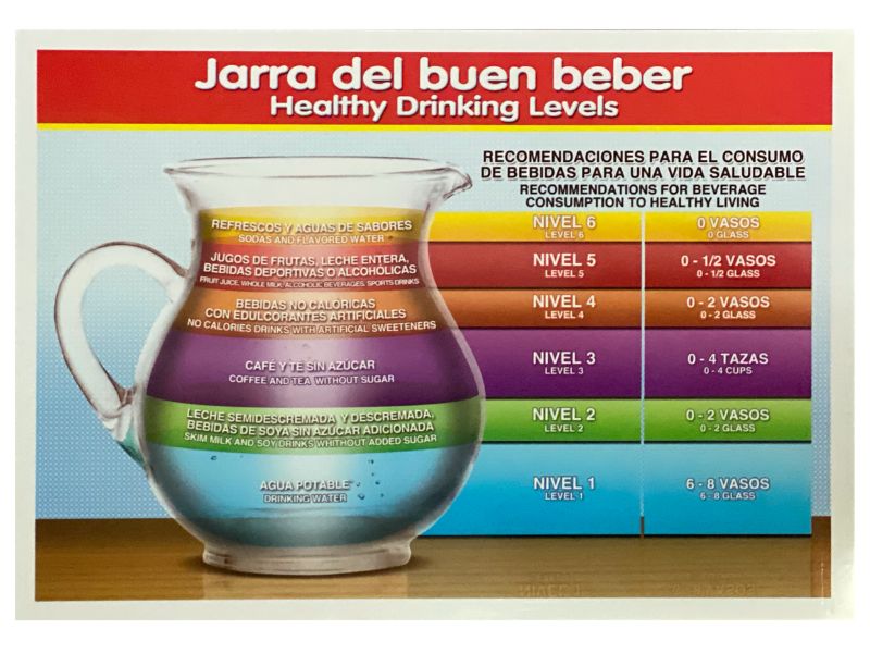 Póster Didáctico Mini Jarra del buen beber 25×35cm granmark® 1361-134 Pieza 751214713681 02