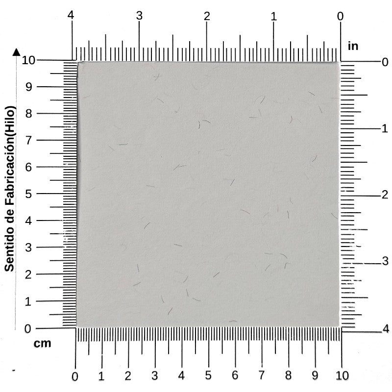 Papel Seguridad Hoops 90g Blanco 57×87cm Copamex® Hoja 01