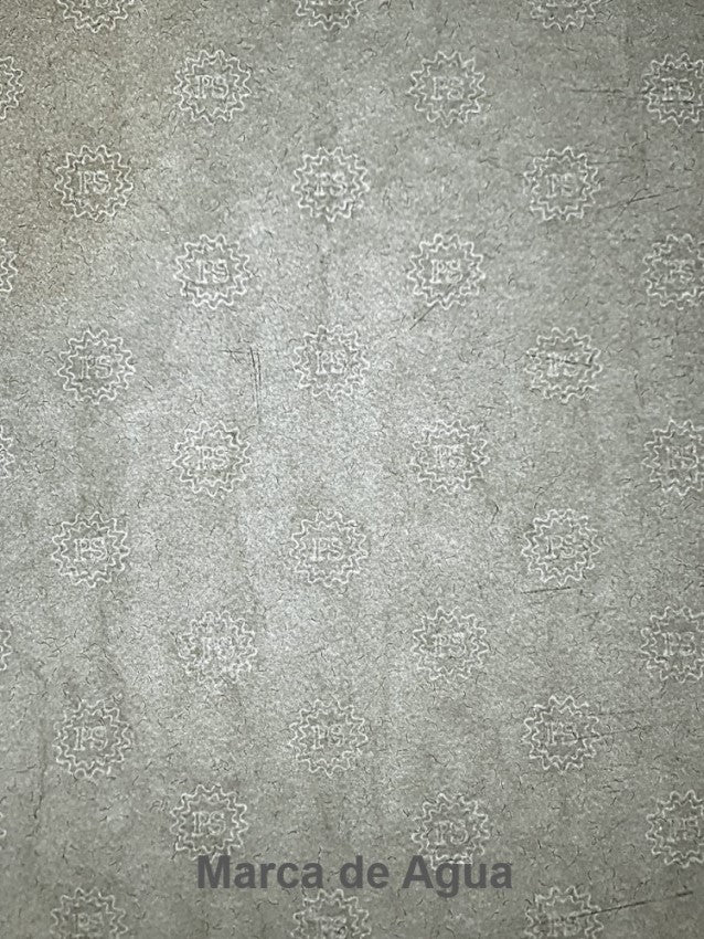 Papel Seguridad PS 90g Blanco Natural 57×87cm Copamex® Hoja 02