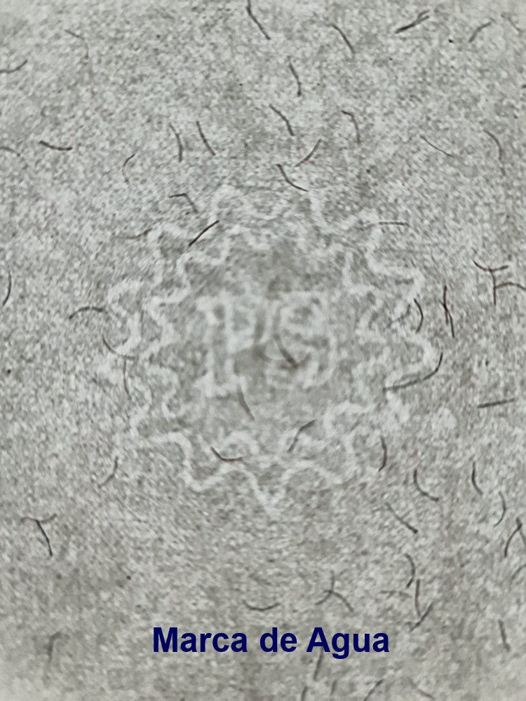 Papel Seguridad PS 90g Blanco Natural 57×87cm Copamex® Hoja 03