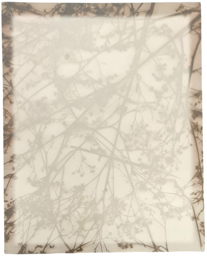 Hoja Decorada Follaje c/25 Carta Kalex® HTO-04-01-03Y Paquete 01