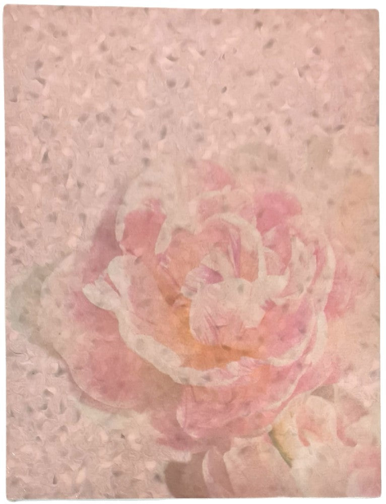 Hoja Decorada Rosa c/25 Carta Kalex® HTO-04-01-04Y Paquete 01