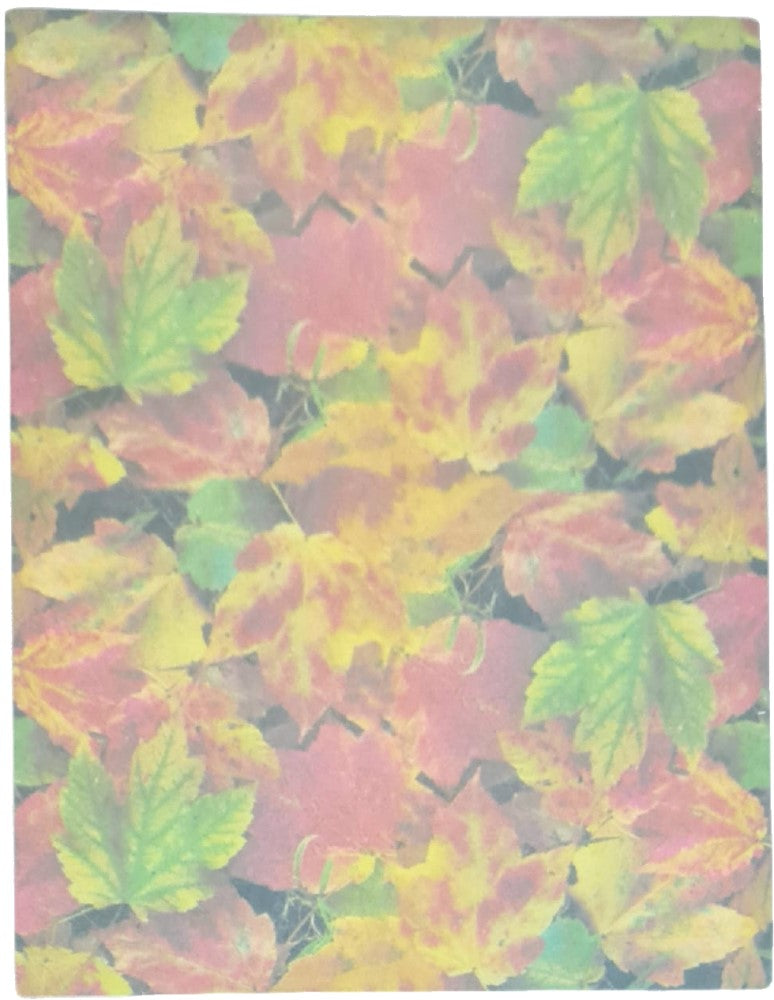 Hoja Decorada Hojas Otoño c/25 Carta Kalex® HTO-04-01-07B Paquete 01