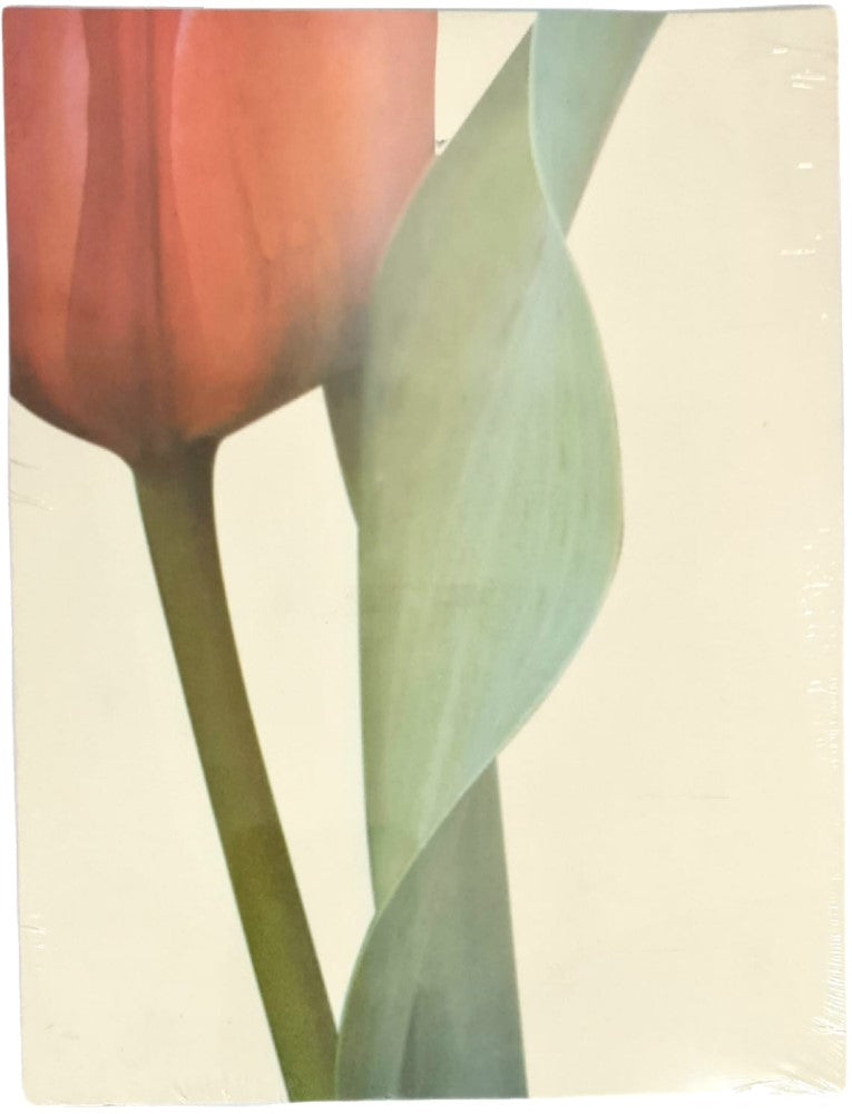 Hoja Decorada Tulipan Rojo c/25 Carta Kalex® HIJ-04-01-03R Paquete 01