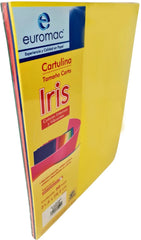 Cartulina EuroIris Arcoíris Intensos c/50 Colores (5) Carta euromac® EI0078 [Paquete] 7501523725911