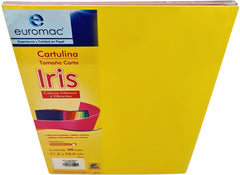 Cartulina EuroIris Arcoíris Intensos c/50 Colores (5) Carta euromac® EI0078 [Paquete] 7501523725911 3