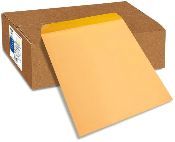 Sobre Bolsa 4050-80 Radiografia 80kg Golden Kraft 40×50cm Nassa® IA0130 [Sobre] 7501523715486