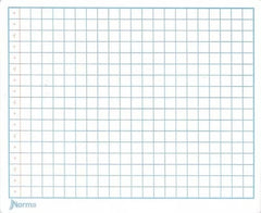 Cuaderno Preescolar Cosid Mi Primer 24.8×19 #B 72 hojas Cuadro10mm Norma® 529942 [Pieza] 7702111299429 2